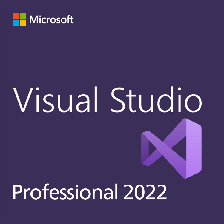 Microsoft visual studio professional 2022