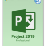 Microsoft Project 2019 Professional
